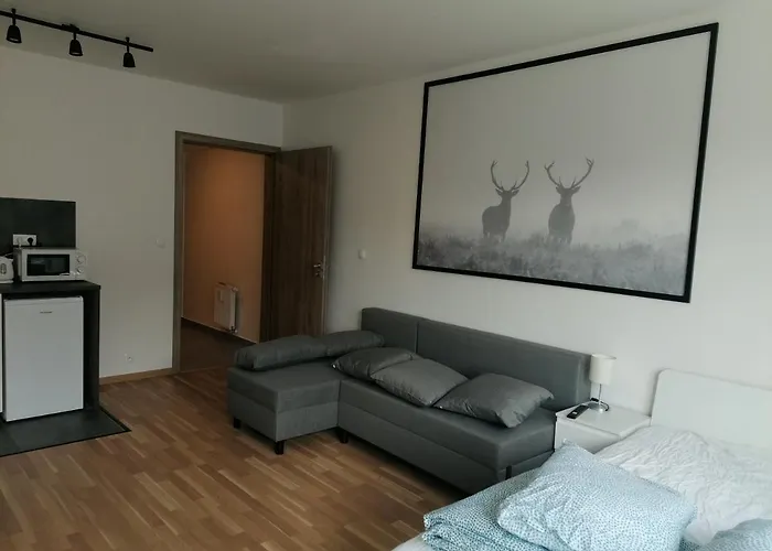 Brand New #21 With Free Secure Parking In The Center Lägenhet Prag